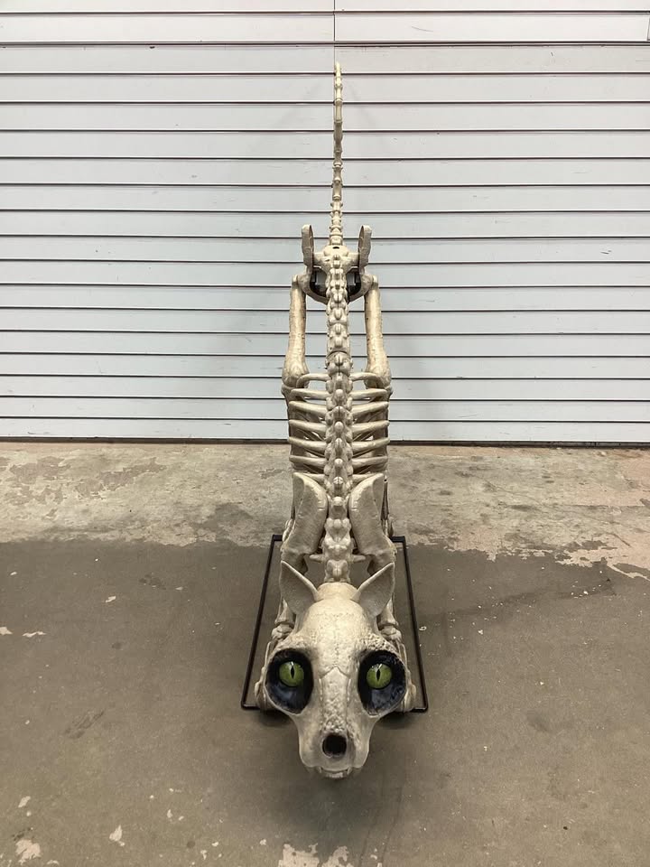 5 Ft Long Grave & Bones LED Skelly's Cat