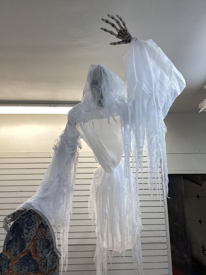 Member's Mark 9' Pre-Lit Animated Ghostly Skeleton