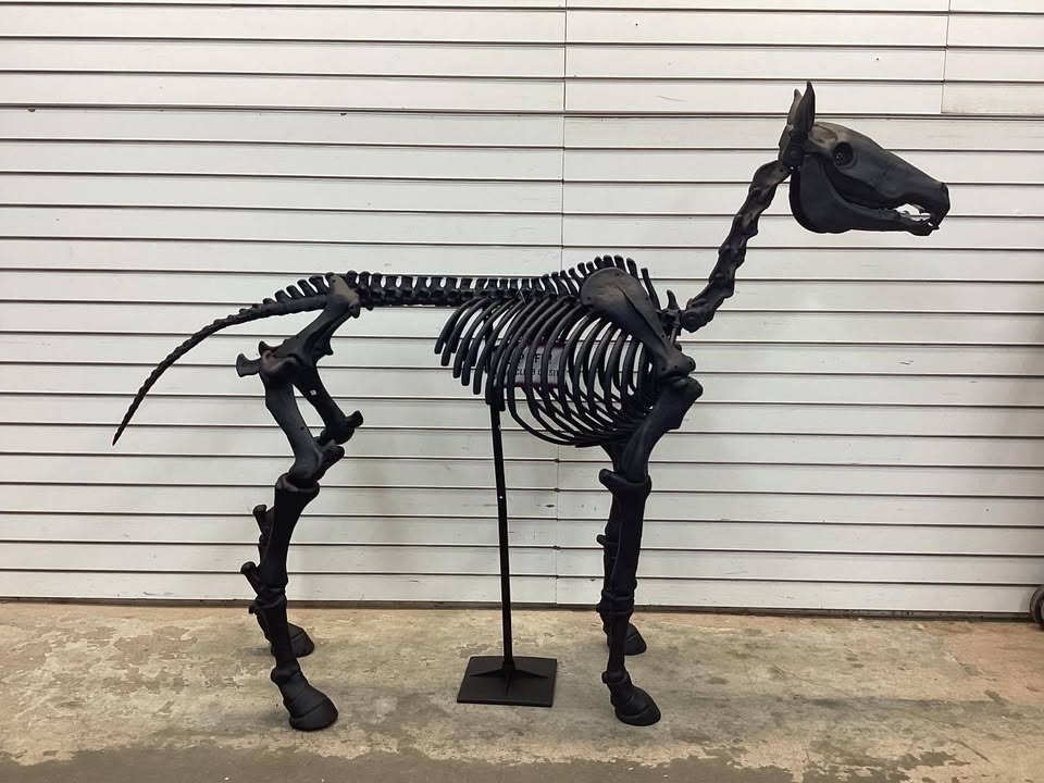 5.5 FT Grave & Bones LED Skeleton Pony