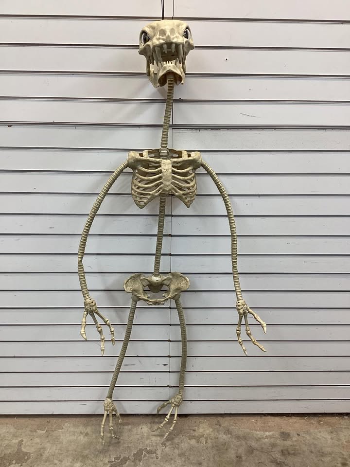 Home Accents Holiday Grave & Bones Led Wrap-Around Skeleton, 5.5 ft