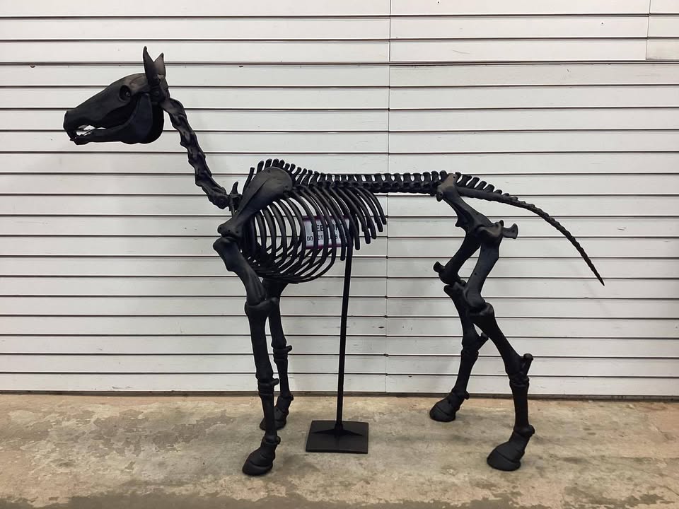 5.5 FT Grave & Bones LED Skeleton Pony