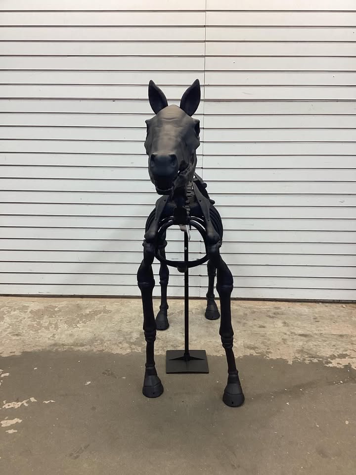 5.5 FT Grave & Bones LED Skeleton Pony