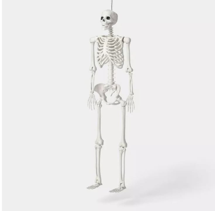 60" Multi Pose-N-Stay Poseable Lifesize Skeleton Halloween Decorative Prop Off-White - Hyde and EEK! Boutique