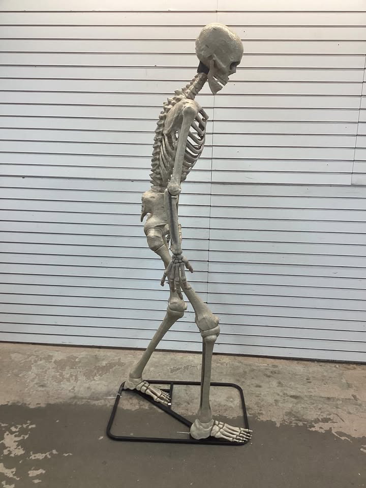 Haunted Hill Farm 8.0-Ft. Tall Motion-Activated Towering Skeleton, Premium Talking Halloween Animatronic, Plug-In