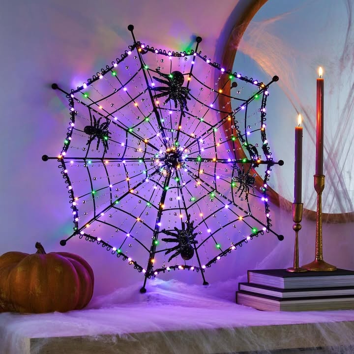 Member's Mark 28.5" Pre-Lit Spiderweb Decor