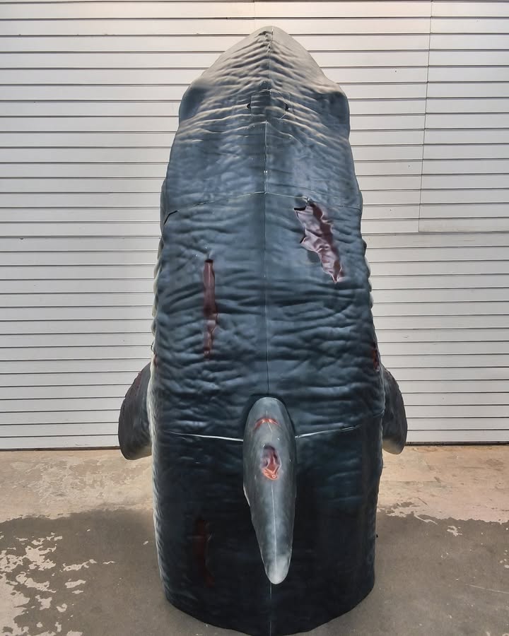 7 ft Dead Water LED Megalodon Shark