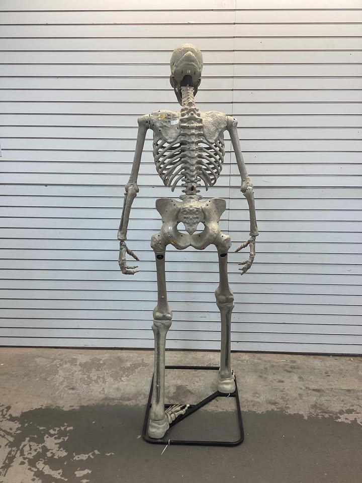 Haunted Hill Farm 8.0-Ft. Tall Motion-Activated Towering Skeleton, Premium Talking Halloween Animatronic, Plug-In