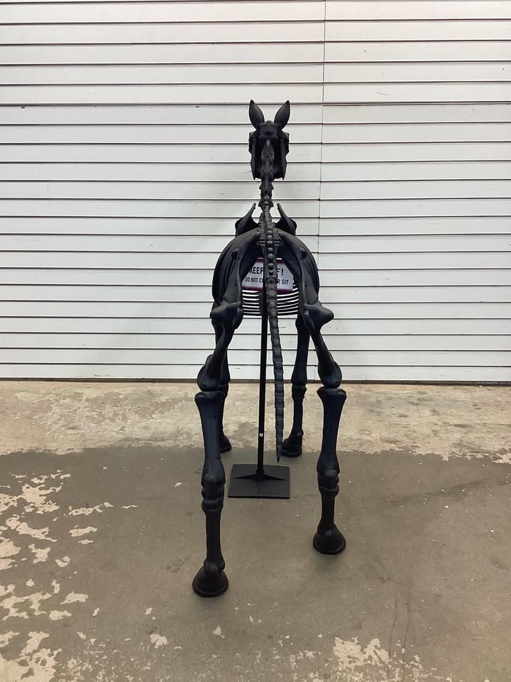 5.5 FT Grave & Bones LED Skeleton Pony