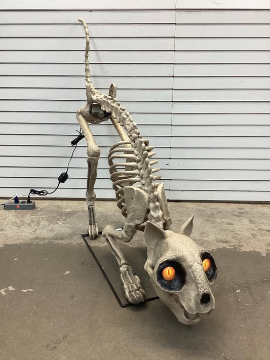 5 Ft Long Grave & Bones LED Skelly's Cat