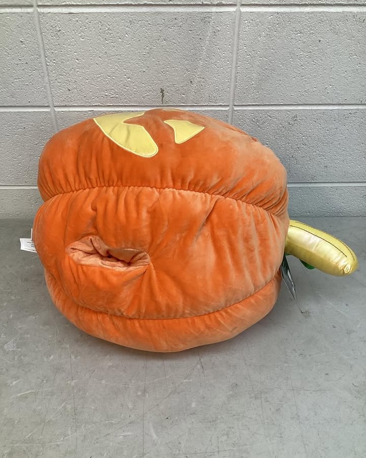 Member's Mark Halloween Secret Pocket Plush