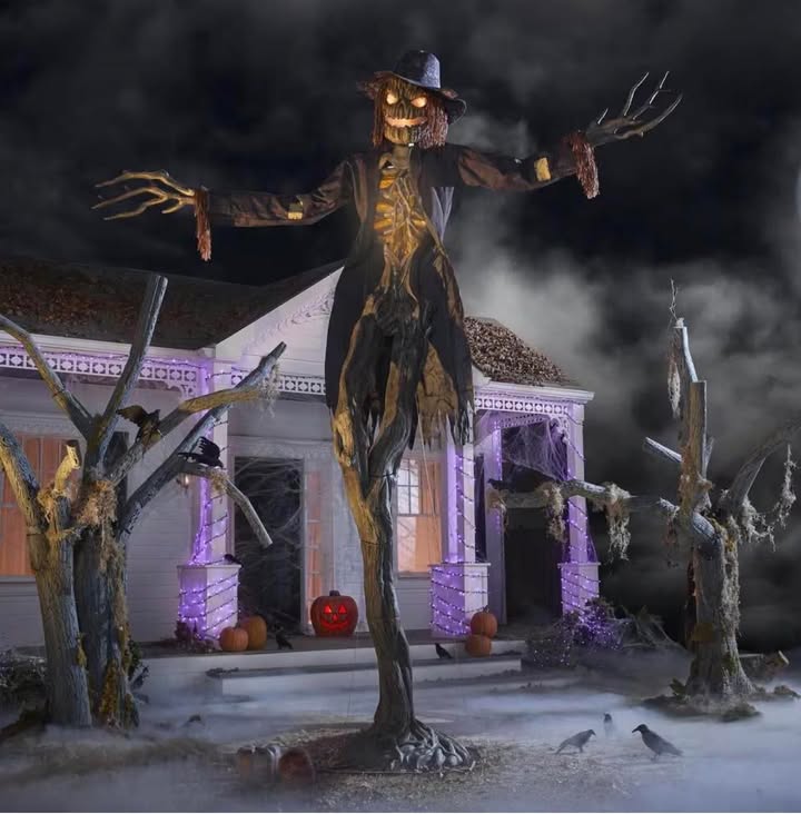Home Accents Holiday 15 ft GIANT-SIZED ANIMATED LED Worricrow