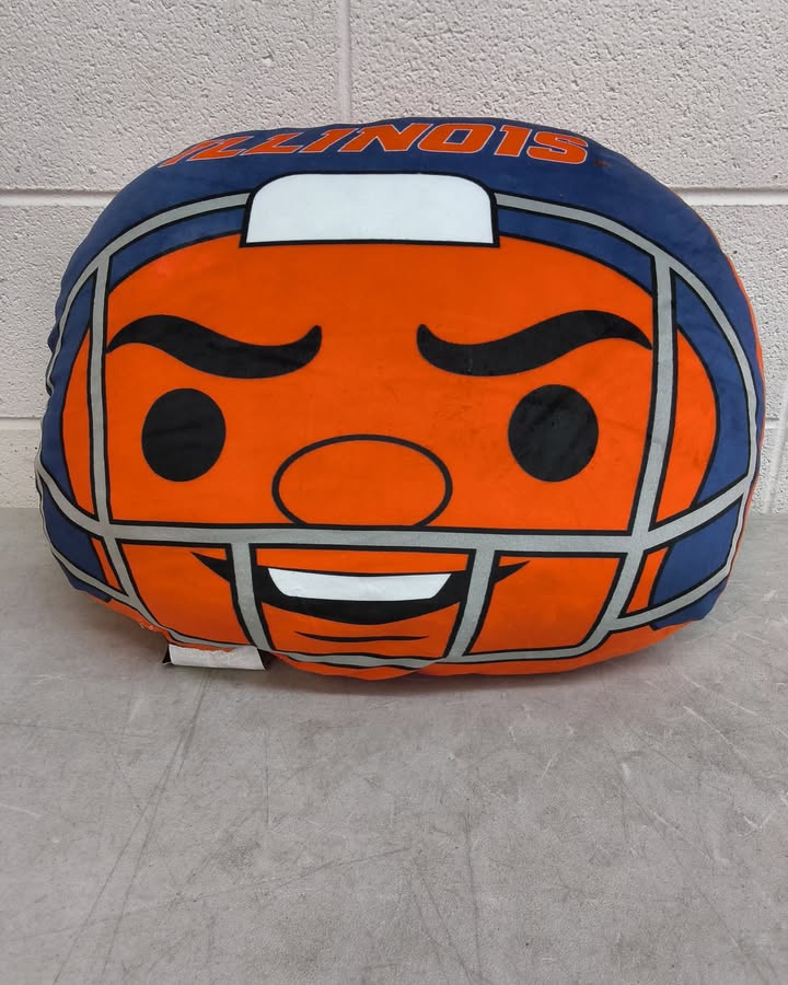 Logo Brands Illinois Fighting Illini Puff Pillow
