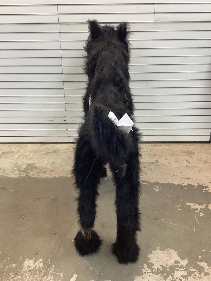 5.5 ft. Gruesome Grounds Animated LED Fear Valley Wolf