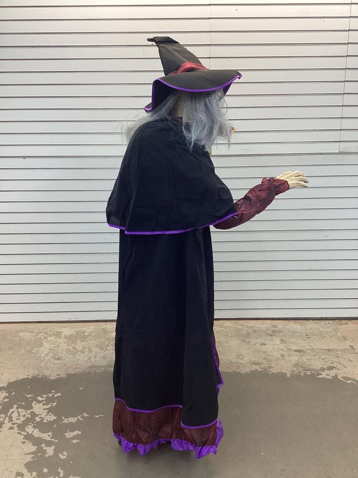 Member's Mark Pre-Lit Animated Crystal Ball Witches