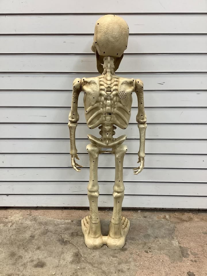 3 ft Halloween Classics Animated Dancing Skeleton