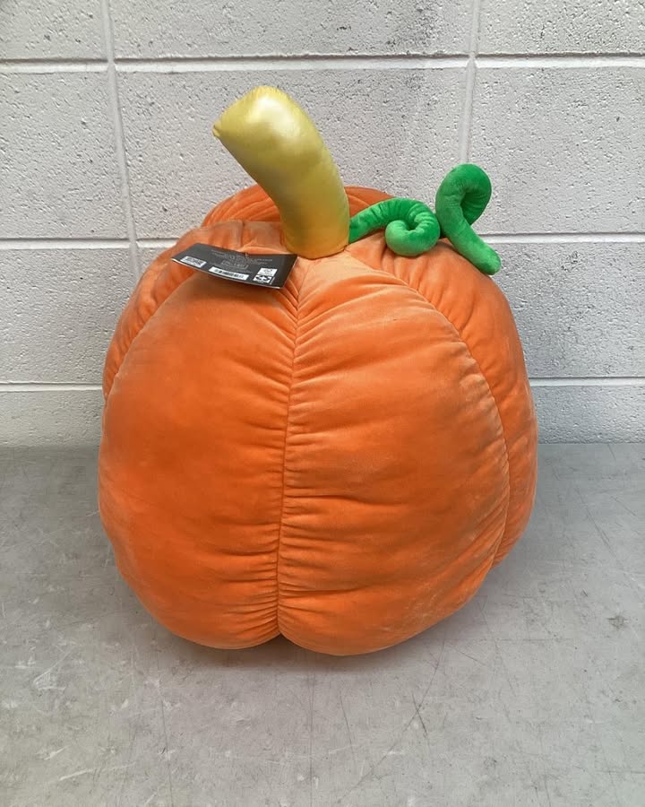Member's Mark Halloween Secret Pocket Plush