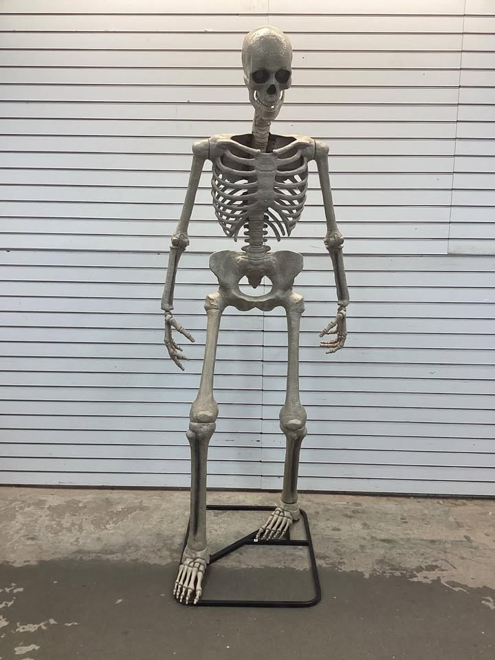 Haunted Hill Farm 8.0-Ft. Tall Motion-Activated Towering Skeleton, Premium Talking Halloween Animatronic, Plug-In