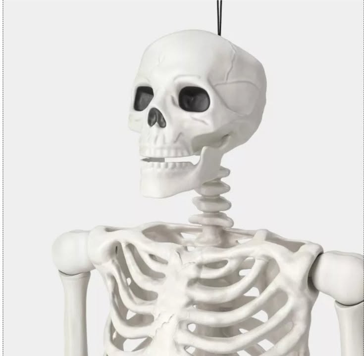 60" Multi Pose-N-Stay Poseable Lifesize Skeleton Halloween Decorative Prop Off-White - Hyde and EEK! Boutique