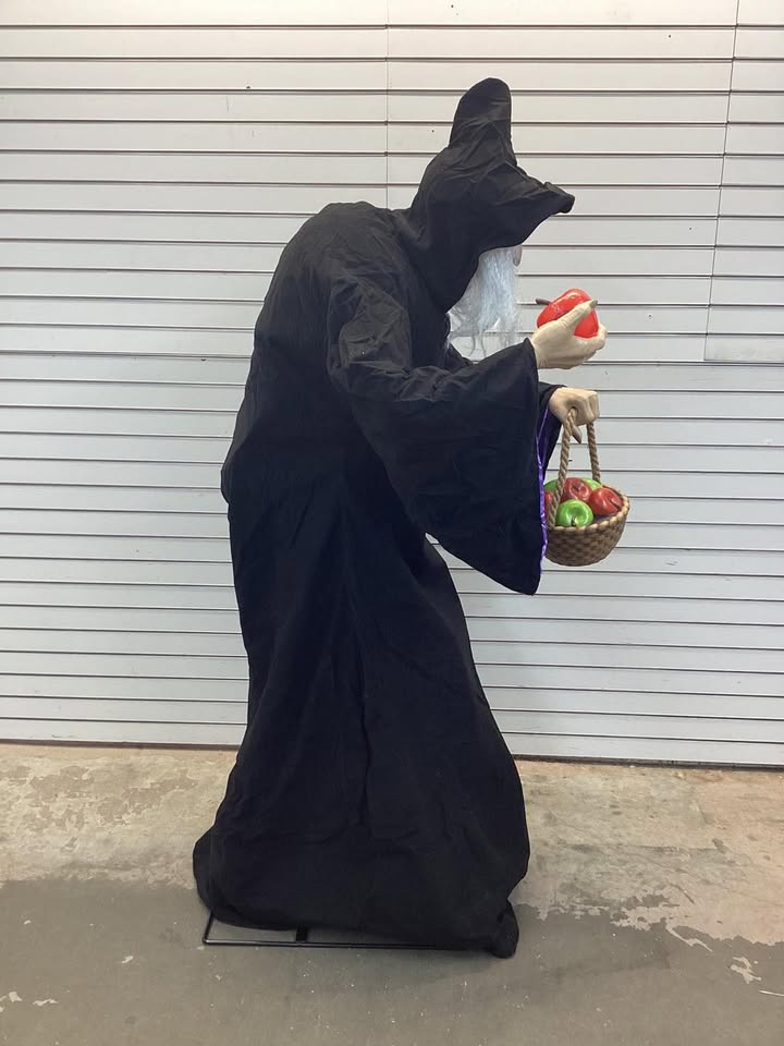 Disney 5.5 ft Animated LED Evil Queen