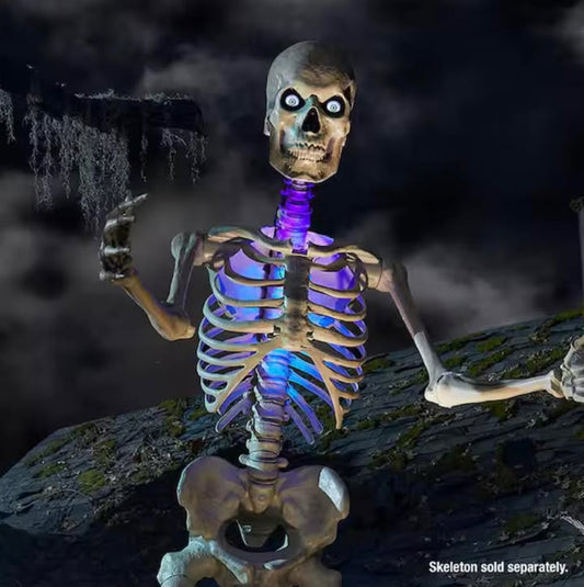 Home Accents Holiday Color Changing LED 12 FT Skelly Lighting Kit