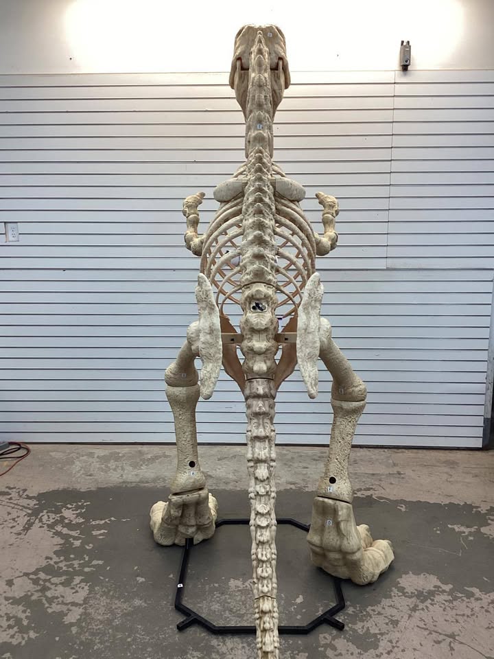 9 FT Grave & Bones Giant-Sized LED T-Rex