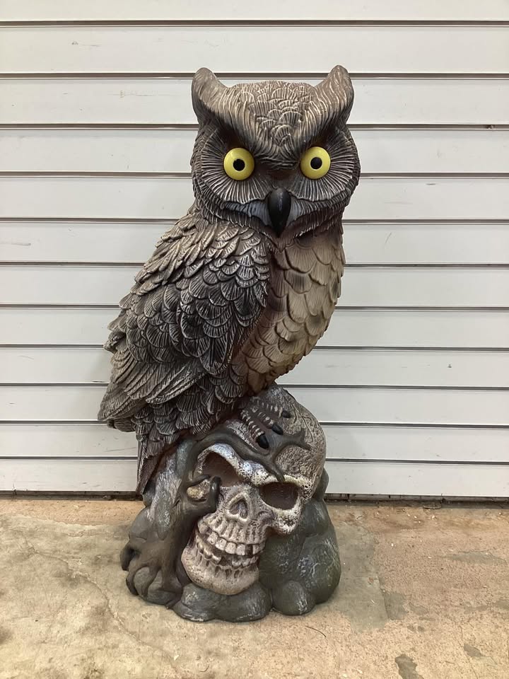 Home Accents Holiday 2.5 ft Grave & Bones Hand-Painted LED Owl On Skull