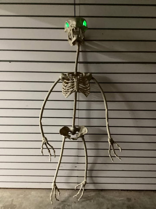 Home Accents Holiday Grave & Bones Led Wrap-Around Skeleton, 5.5 ft