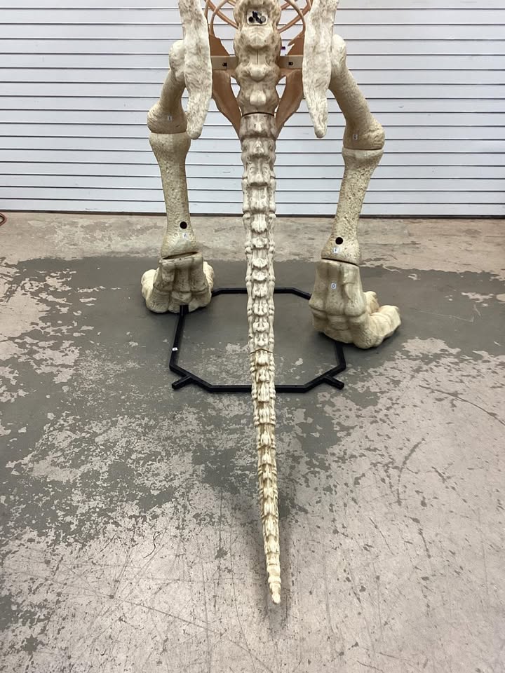 9 FT Grave & Bones Giant-Sized LED T-Rex