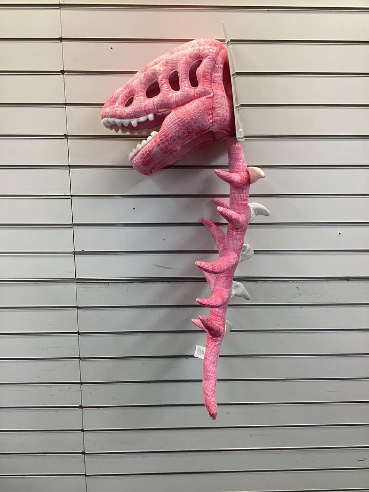 Member's Mark Wearable Plush Dinosaur Costume