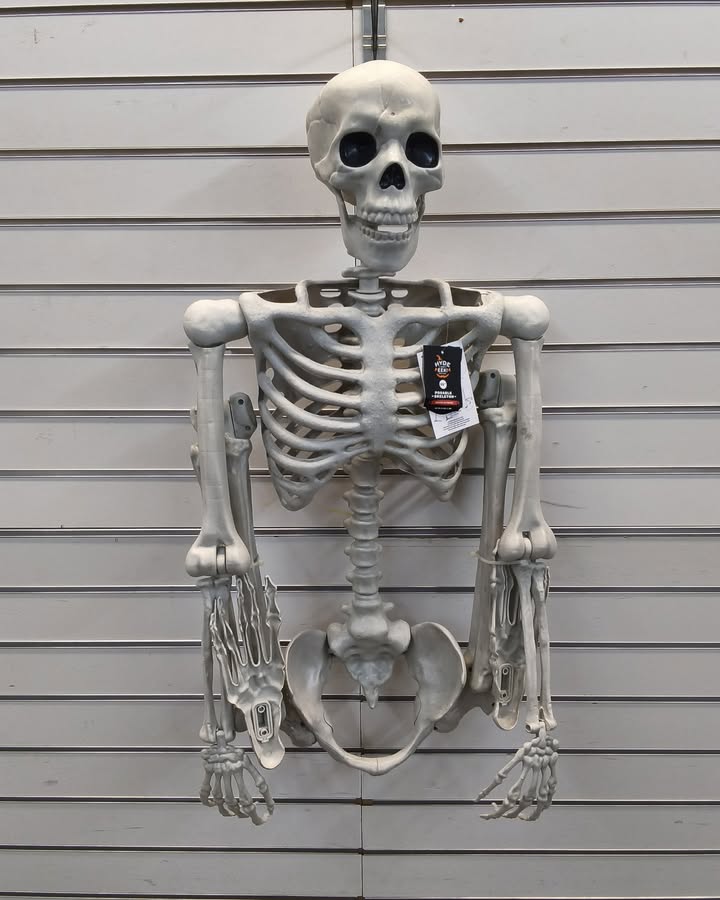 60" Multi Pose-N-Stay Poseable Lifesize Skeleton Halloween Decorative Prop Off-White - Hyde and EEK! Boutique