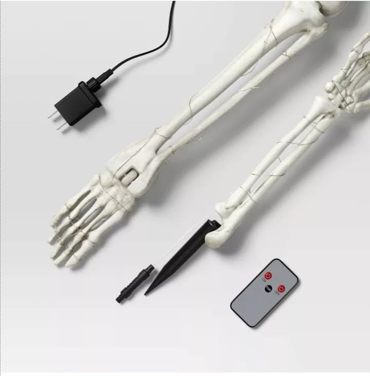 5pc Skeleton Parts Stake Lights with Remote Halloween Decorative Prop Off White - Hyde and EEK! Boutique