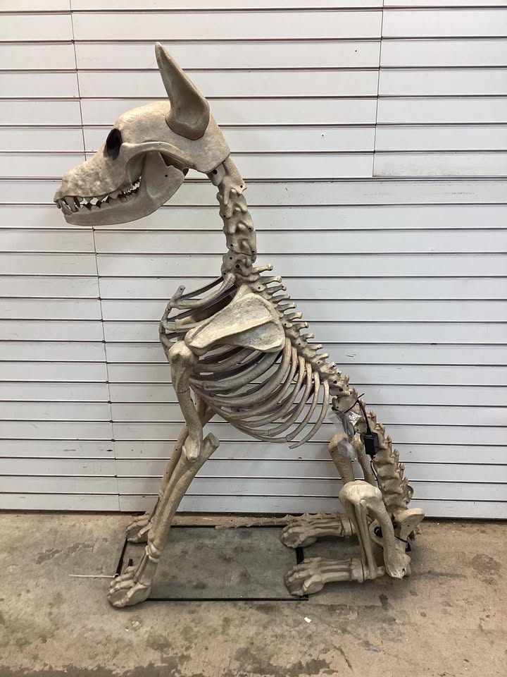 5 ft. Grave & Bones Skelly's Sitting Dog