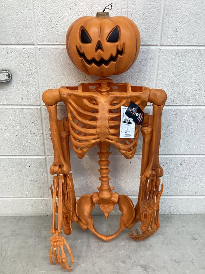 60" Multi Pose-N-Stay Poseable Lifesize Halloween Pumpkin Skeleton Decorative Prop - Hyde and EEK! Boutique