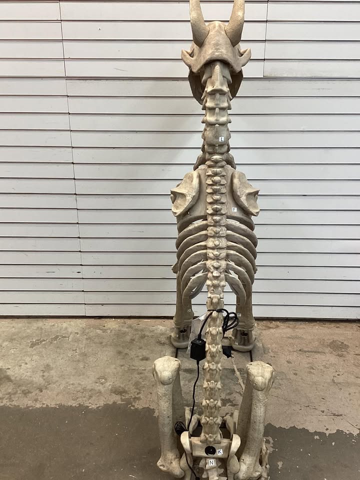 5 ft. Grave & Bones Skelly's Sitting Dog
