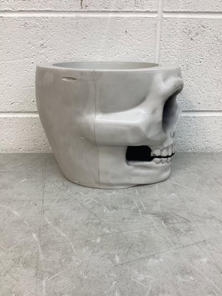 8" Light and Sound Candy Bowl Skull Halloween Decorative Prop White - Hyde and EEK! Boutique