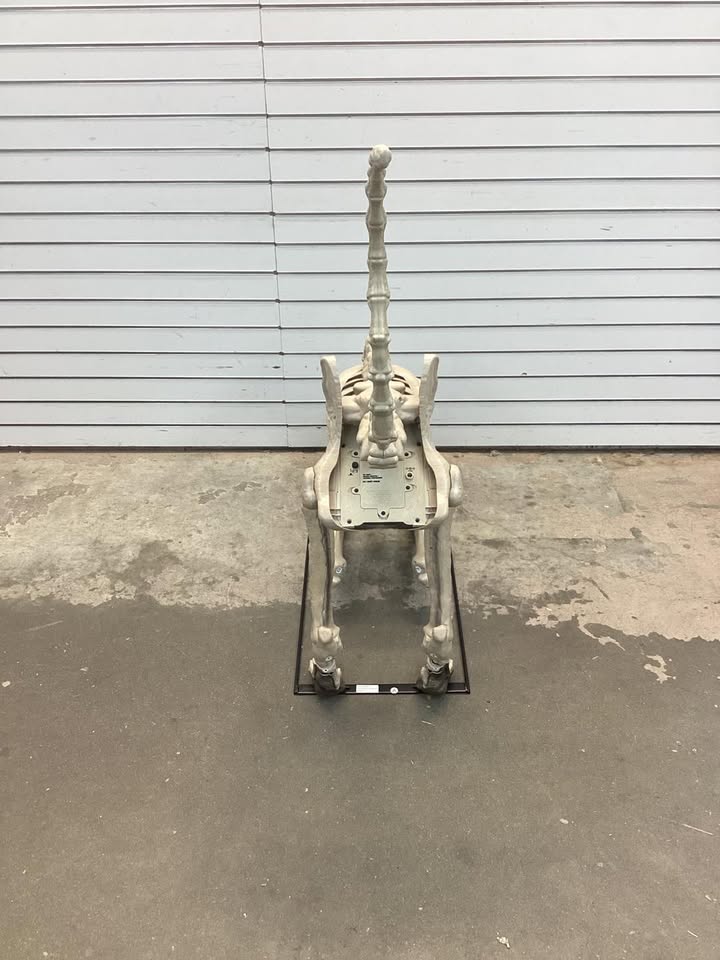 5 Ft Long Grave & Bones LED Skelly's Cat