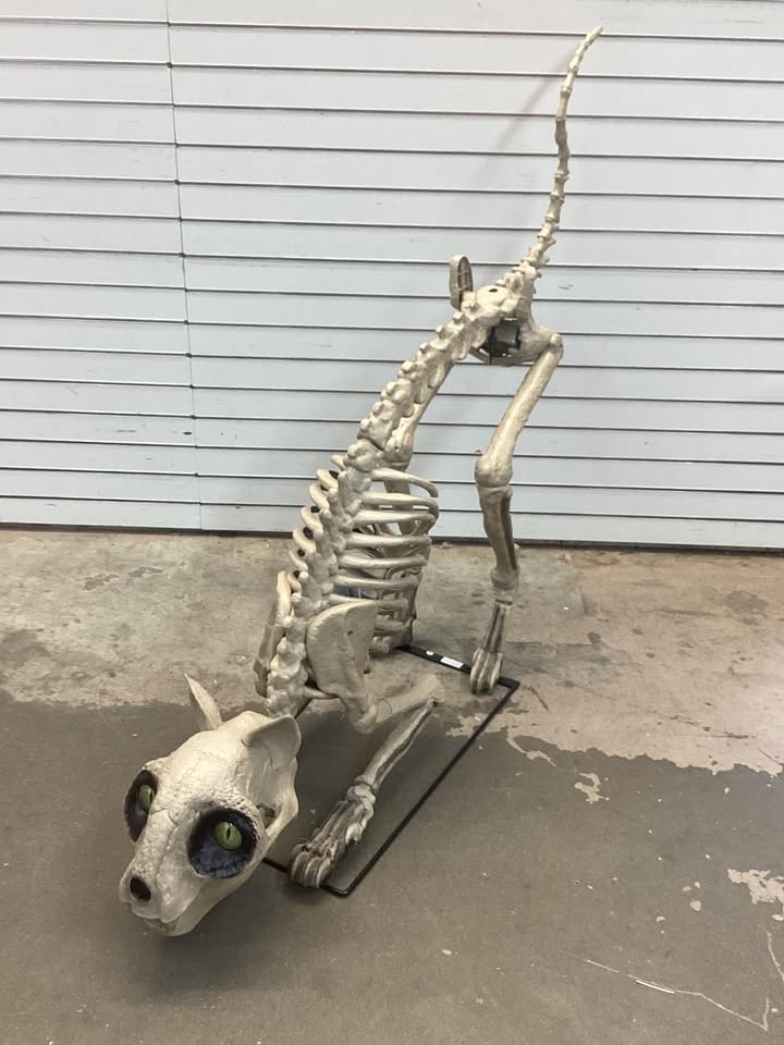 5 Ft Long Grave & Bones LED Skelly's Cat