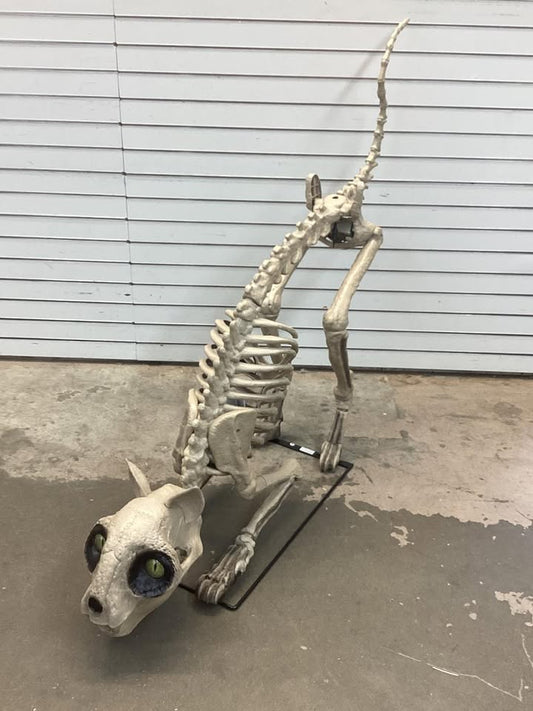 5 Ft Long Grave & Bones LED Skelly's Cat