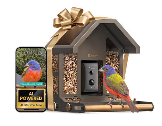 Birdfy Smart Metal Bird Feeder with Built-in Solar Panel and AI Camera